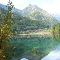 專注入境旅游業務，打造卓越旅行體驗